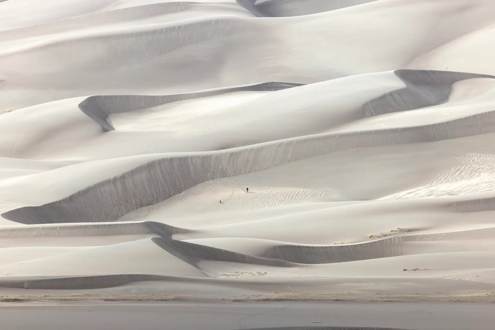 Abstract landscape photograph of sand dunes in soft, muted tones of Cotton Seed and Timberwolf.