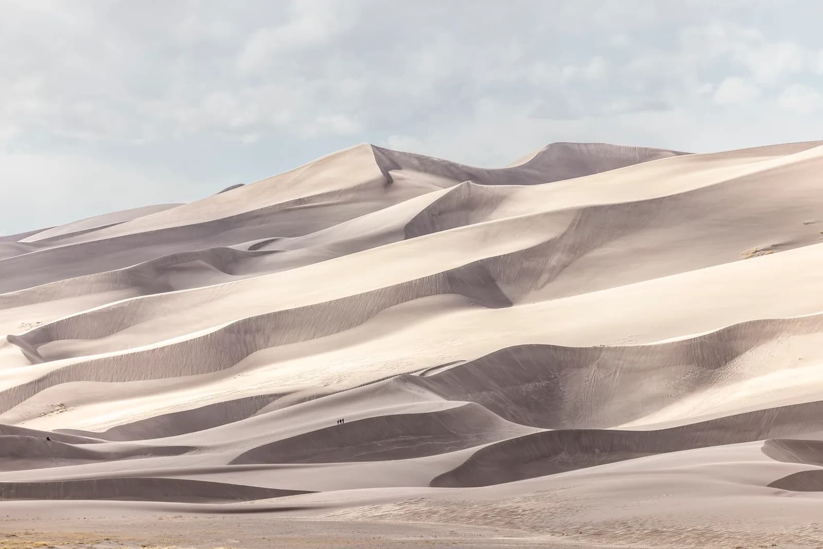 Untitled artwork by Tracy Burke